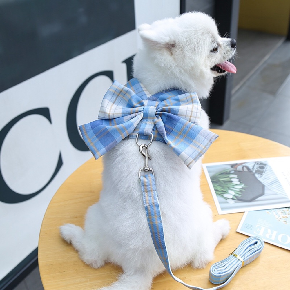 Dog Harness & Leash Set XL 6-8 kg. Baby Blue